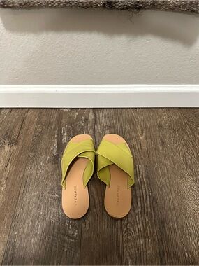 Size 5.5 Everlane The Day Crossover Sandals- Green